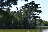 Laxenburg  21.08.10_042